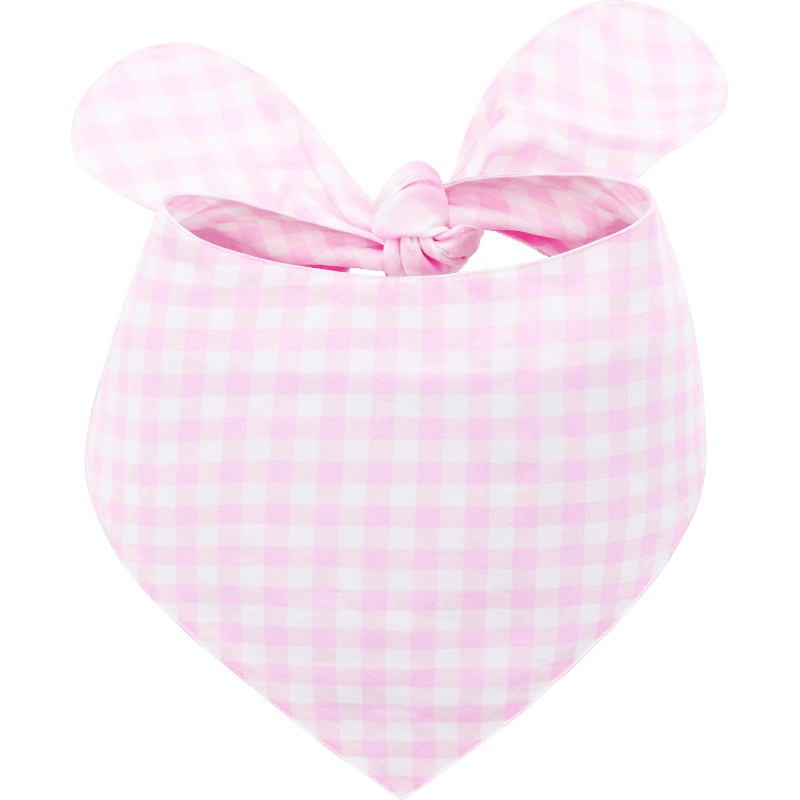 Bandana Alla Moda per Cani