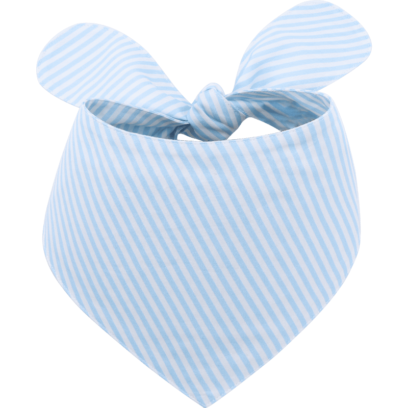 Bandana Alla Moda per Cani